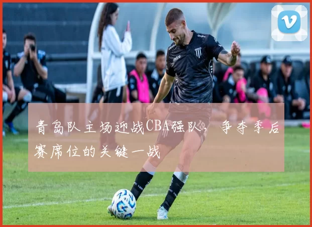 青岛队主场迎战CBA强队，争夺季后赛席位的关键一战