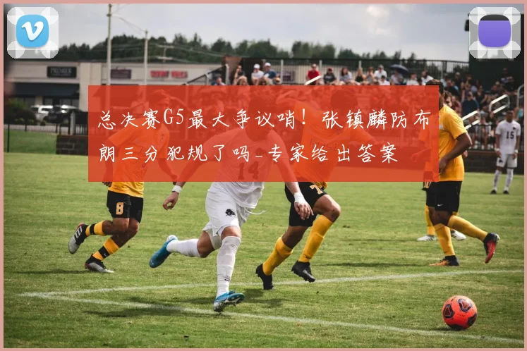 总决赛G5最大争议哨！张镇麟防布朗三分犯规了吗_专家给出答案