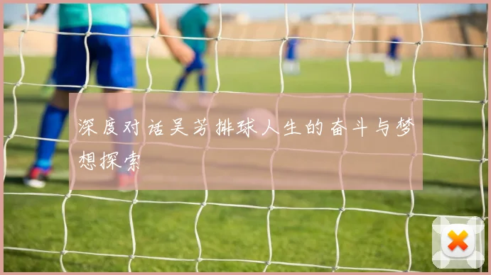 深度对话吴芳排球人生的奋斗与梦想探索