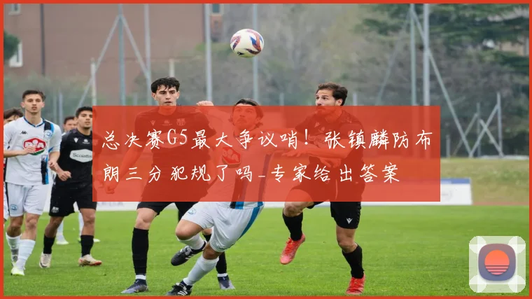 总决赛G5最大争议哨!张镇麟防布朗三分犯规了吗_专家给出答案