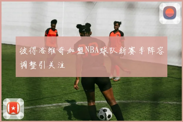 彼得洛维奇加盟NBA球队新赛季阵容调整引关注