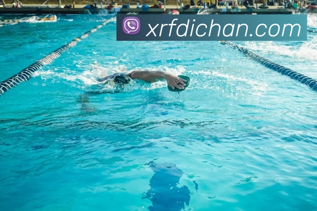 青岛队主场迎战CBA强队,争夺季后赛席位的关键战役