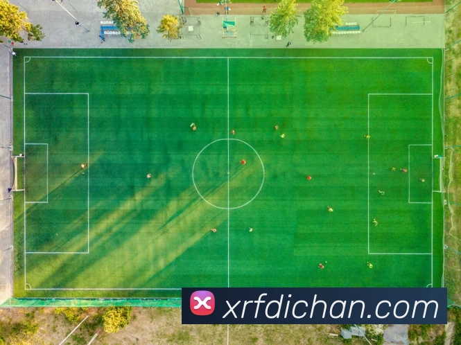 奖项图2